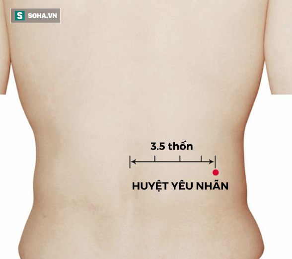 Cách bấm huyệt tăng ham muốn tình dục ở nam giới