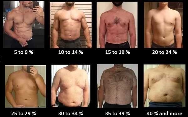 Cách đo lượng mỡ trong cơ thể