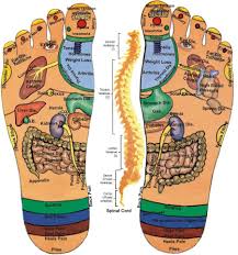 Cách massage bấm huyệt khu phản xạ bàn chân trị bệnh