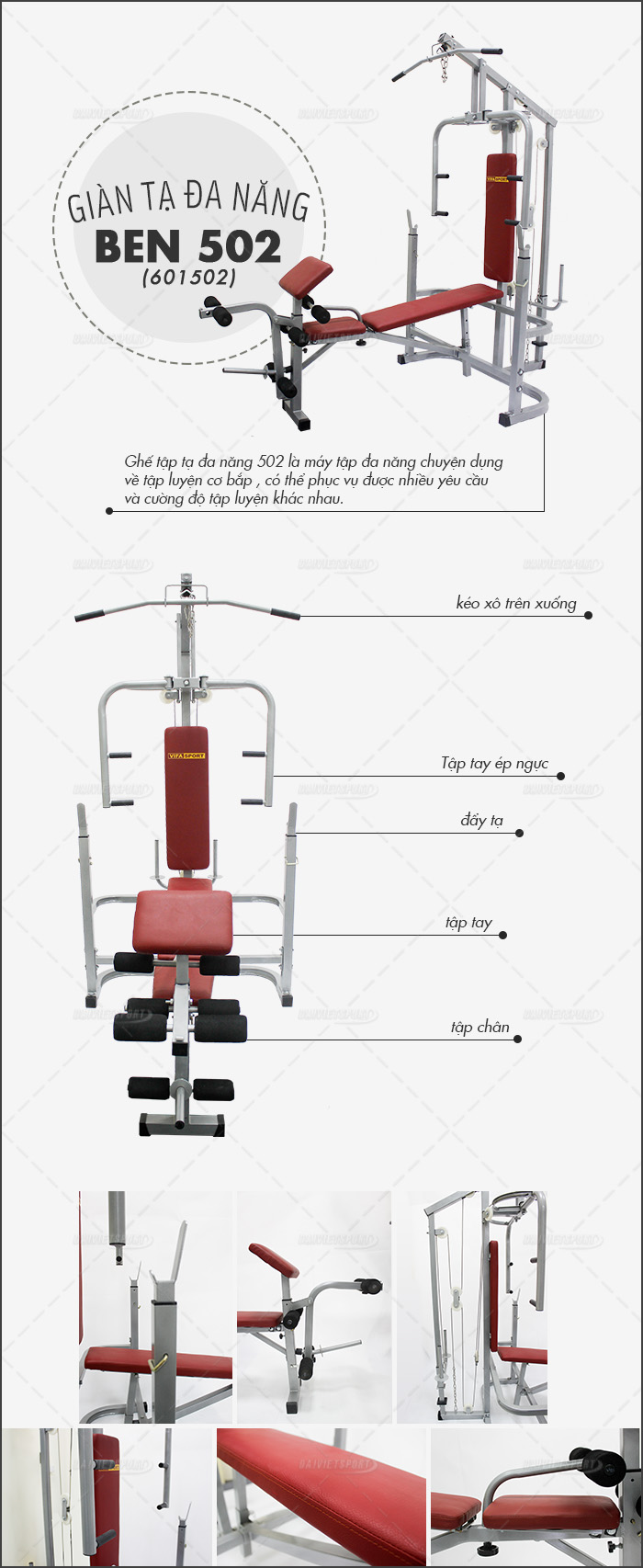 Ghế tạ BEN 502 ở đâu là tốt nhất