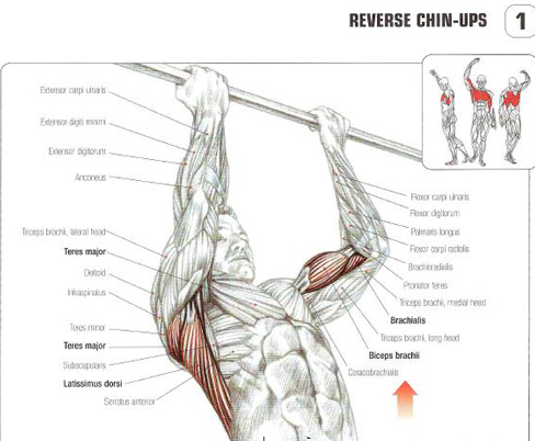 hít xà đơn đúng cách cách