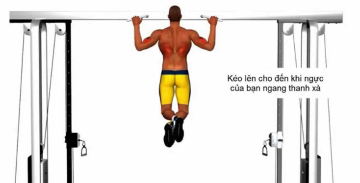 khôi phục cơ bắp nhờ xà đơn