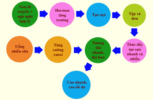 tiện lợi việc tập xà đơn