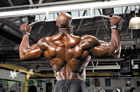 hiệu quả tuyệt vời phát triển cơ lưng nhờ xà đơn