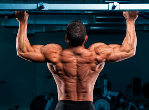 địa chỉ bán xà đơn uy tín và chất lượng