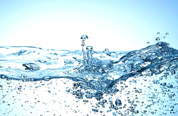 tổng hợp 8 loại thức ăn dinh dưỡng cho người tập xà