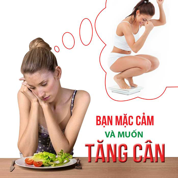 tang can cung may chay bo 